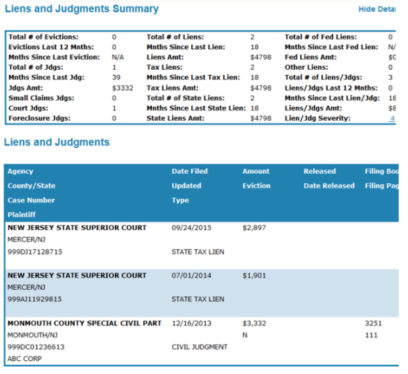Sample report for liens and judgments